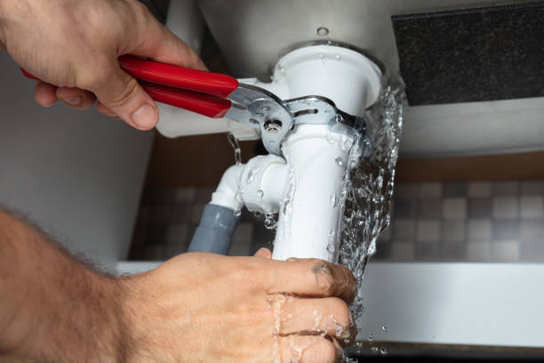 Best Mold removal after water damage  in Wabasso Beach, FL