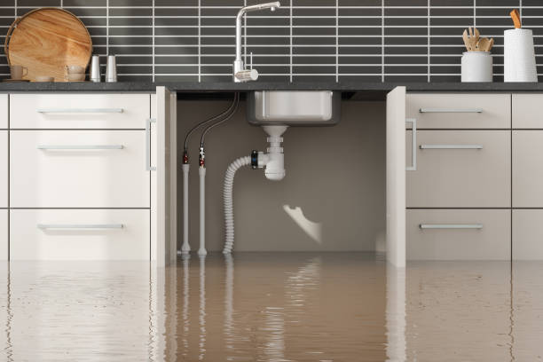 Best Water damage cleanup near me  in Wabasso Beach, FL