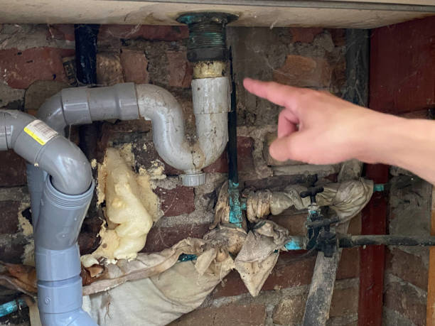 Best Mold removal after water damage  in Wabasso Beach, FL
